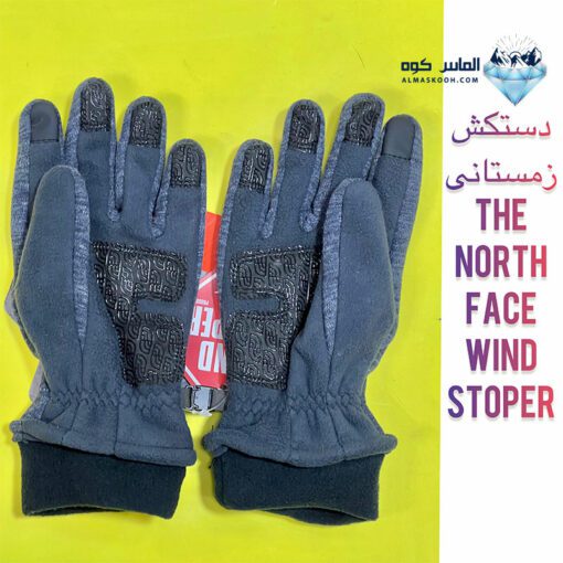 دستکش زمستانی وینداستاپر THE NORTH FACE اورجینال _ الماس کوه